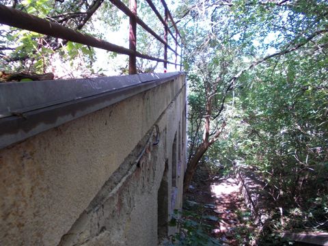 Foto 100